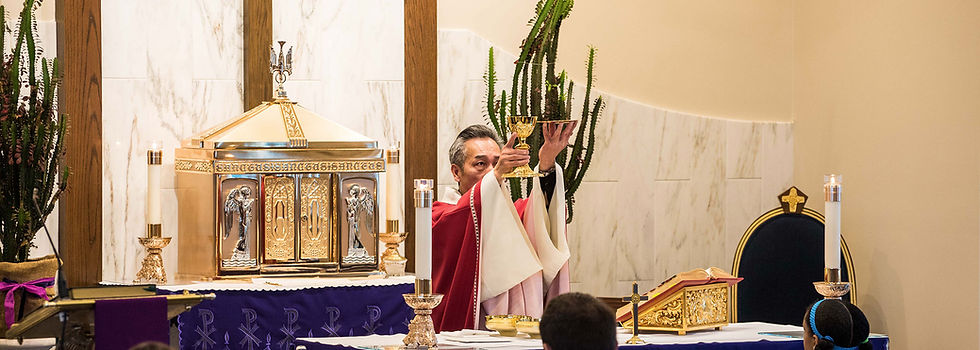 A priest in red holding up a gold chalice and plate during the consecration with a white, marble background behind him